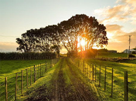Farmland Sales