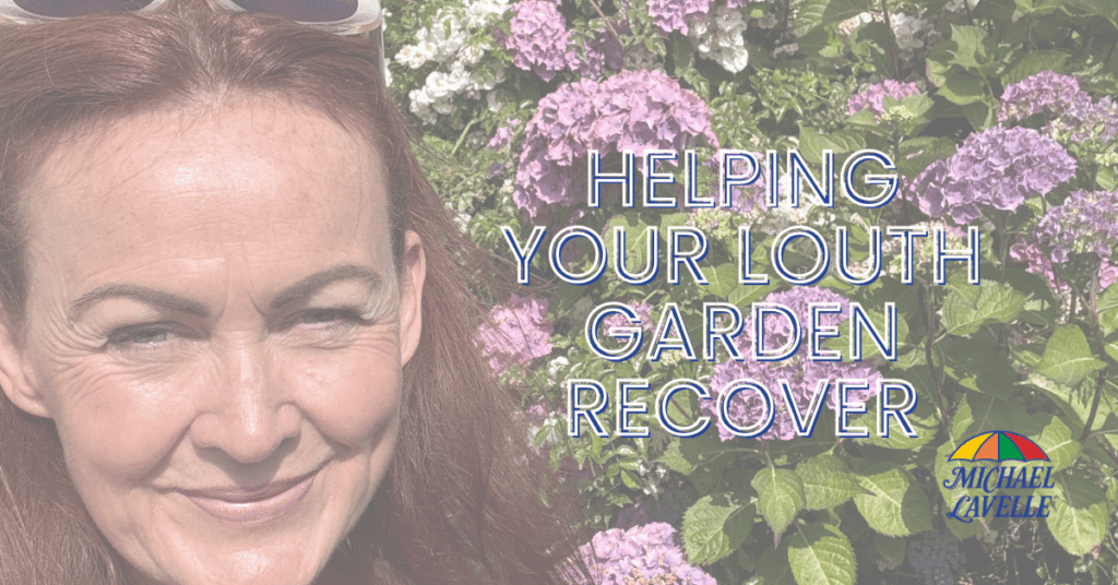 Joanne Lavelle - Helping your Louth Garden Grow blog